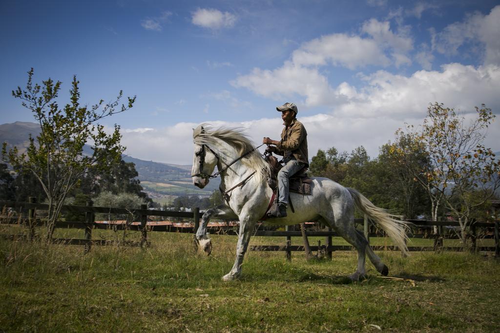 Hacienda Hosteria San Luis Cayambe Eksteriør bilde