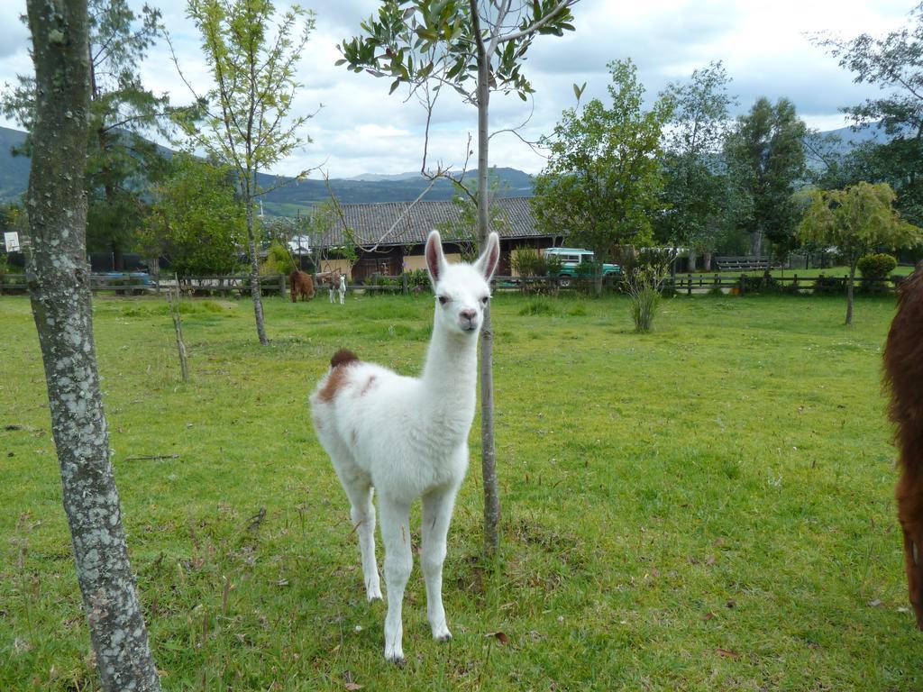 Hacienda Hosteria San Luis Cayambe Eksteriør bilde