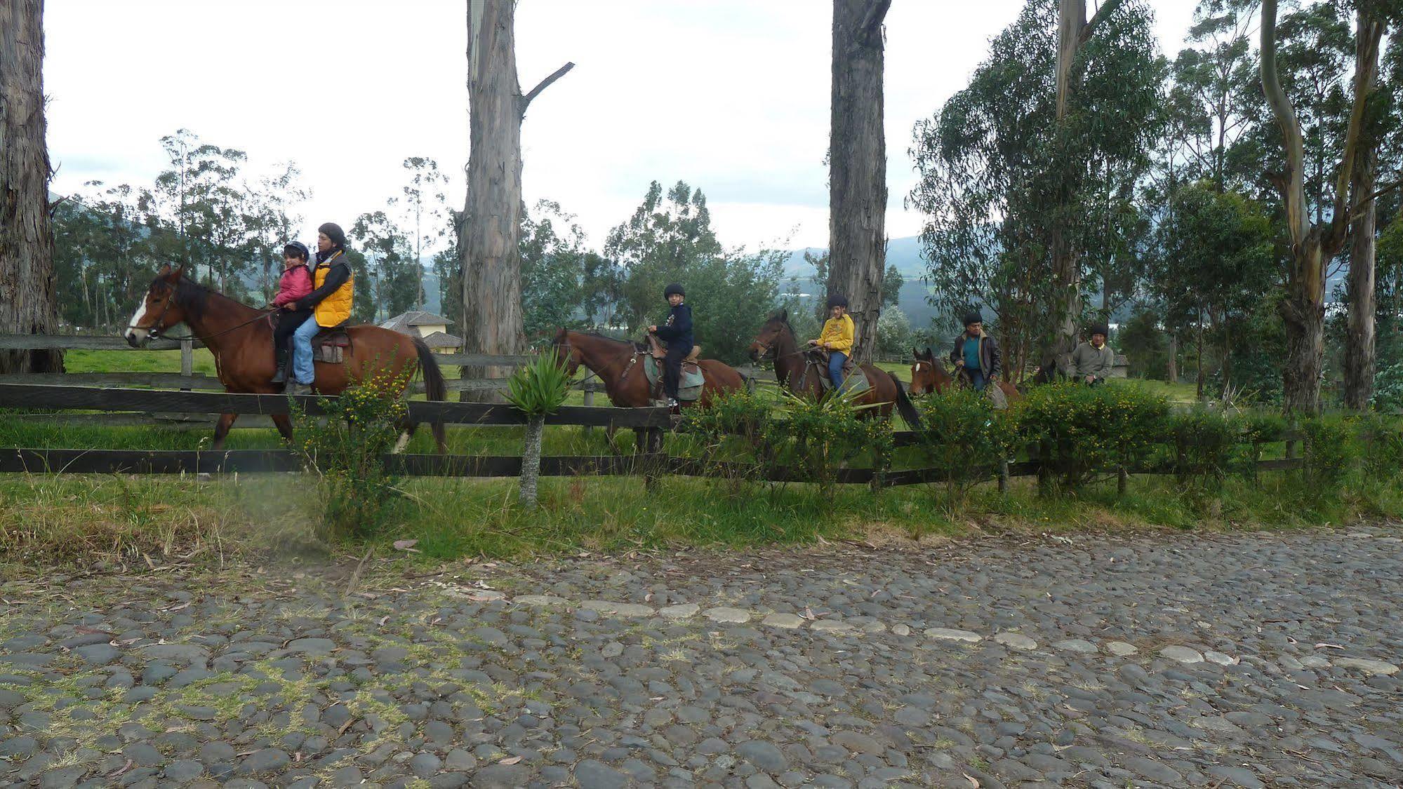 Hacienda Hosteria San Luis Cayambe Eksteriør bilde